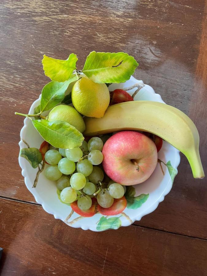 גרגננו Appartamento Cristol מראה חיצוני תמונה